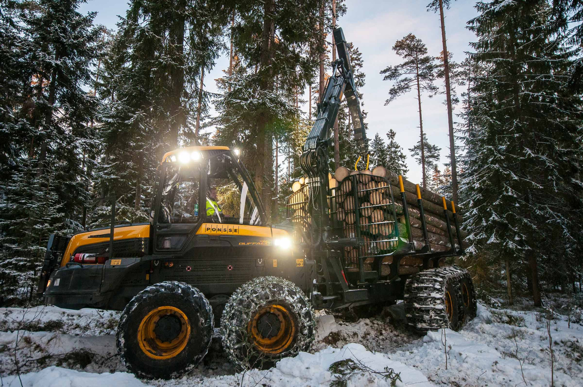 Buffalo king forwarder - Inter Agrar